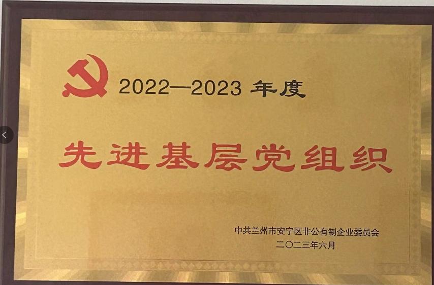 甘肅宏強黨支部榮獲“先進(jìn)基層黨組織”榮譽